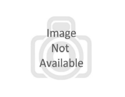 High Tea Cup M19 D6.5 - 0036